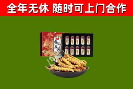 马龙回收冬虫夏草价格